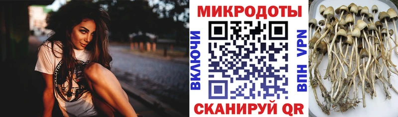 Псилоцибиновые грибы прущие грибы  Купить где  Сольвычегодск 